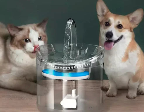Fuente de agua para mascotas con sensor