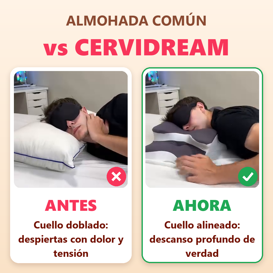 Almohada común vs CerviDream