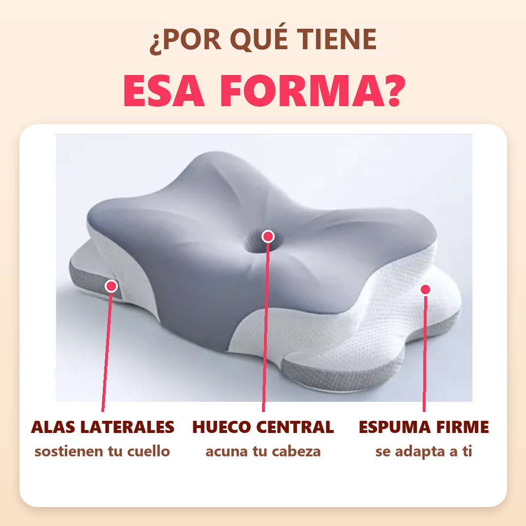 Por qué CerviDream tiene forma de mariposa