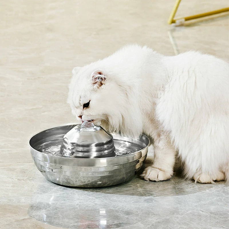 Fuente De Agua Para Gatos Y Perros Bebe